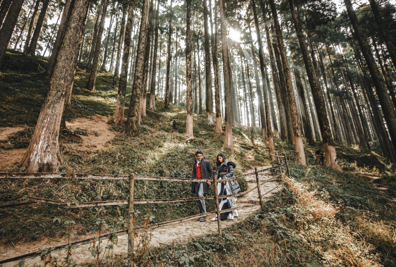 Singtom Tea Estate & Resort 다르질링 외부 사진