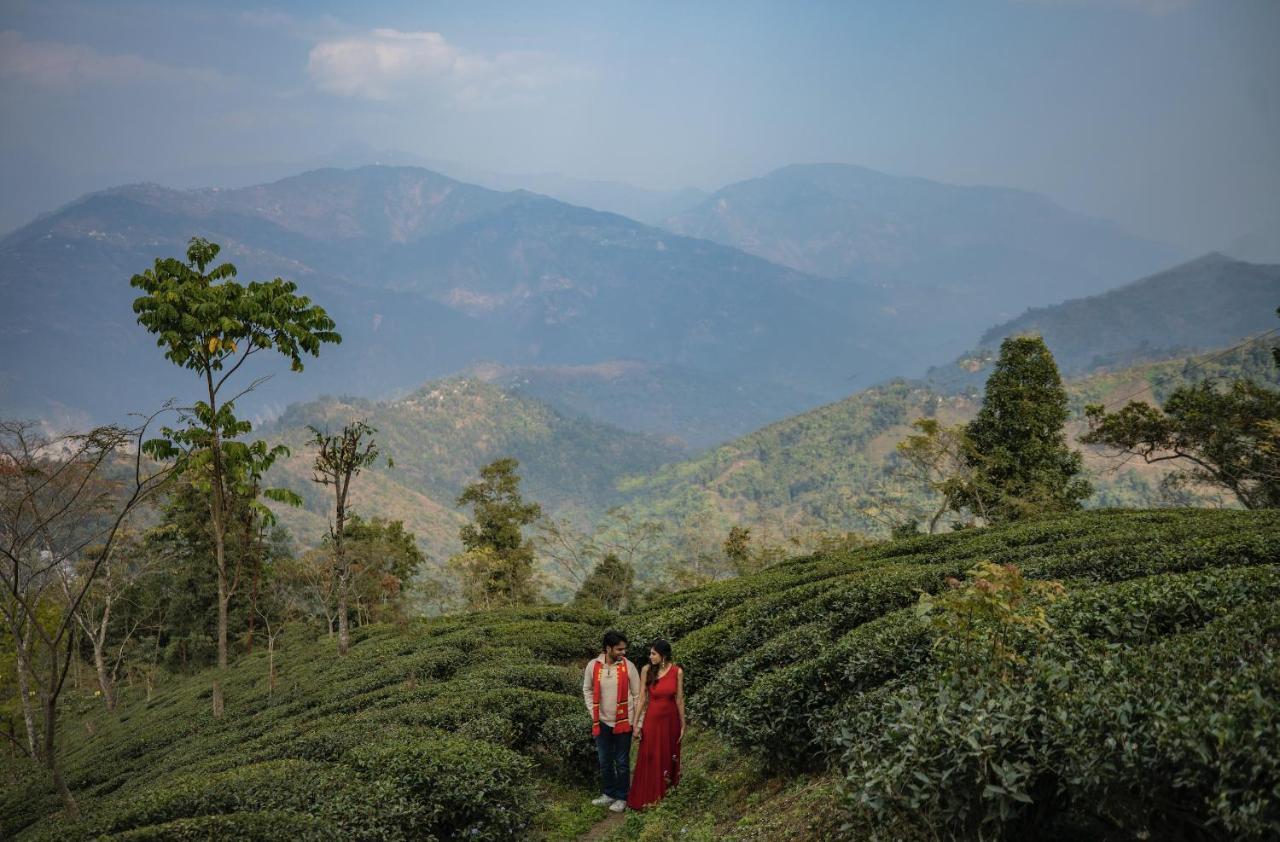 Singtom Tea Estate & Resort 다르질링 외부 사진